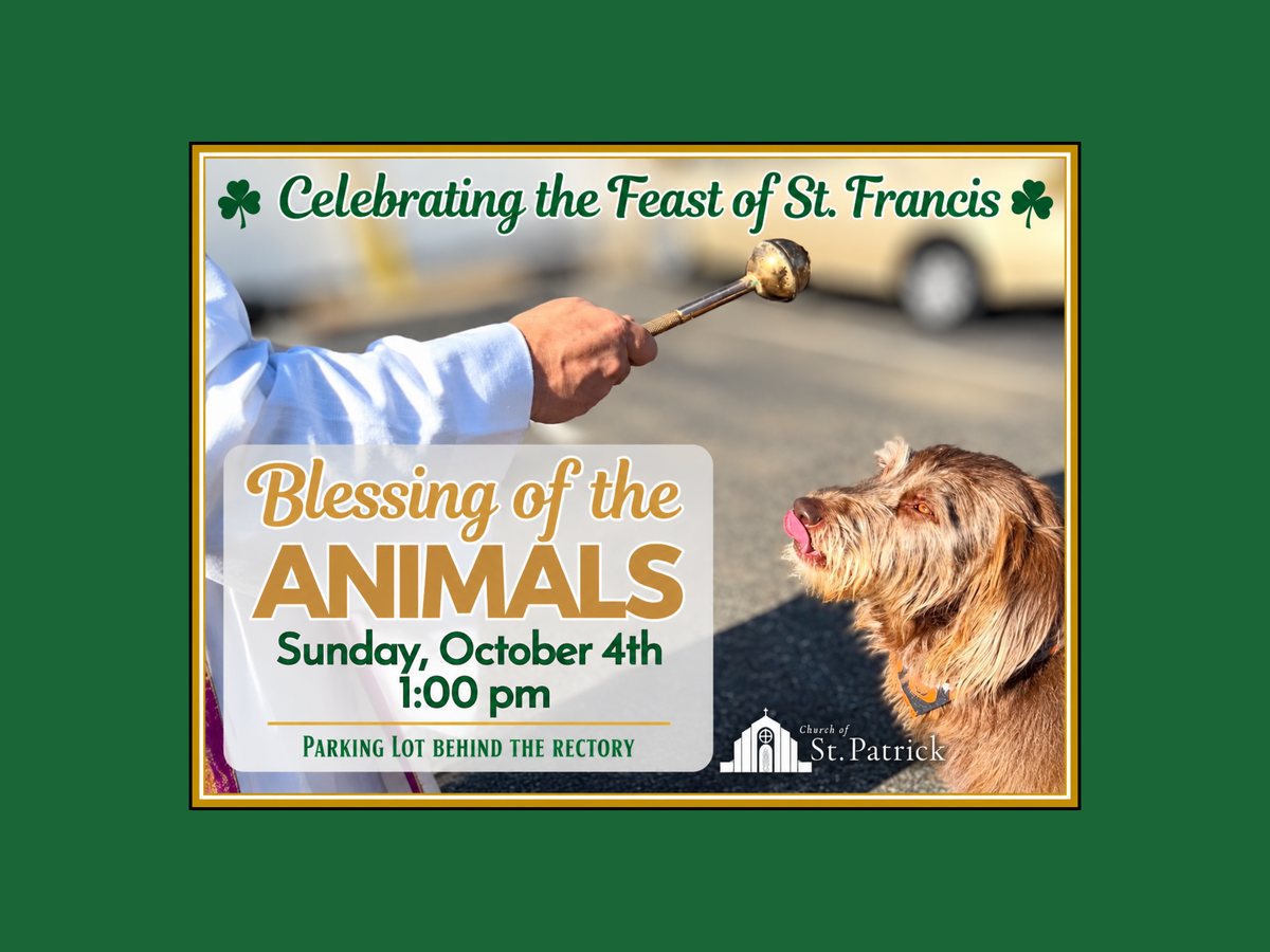 Blessing of the Animals - Sunday, October 4th at 1:00 pm