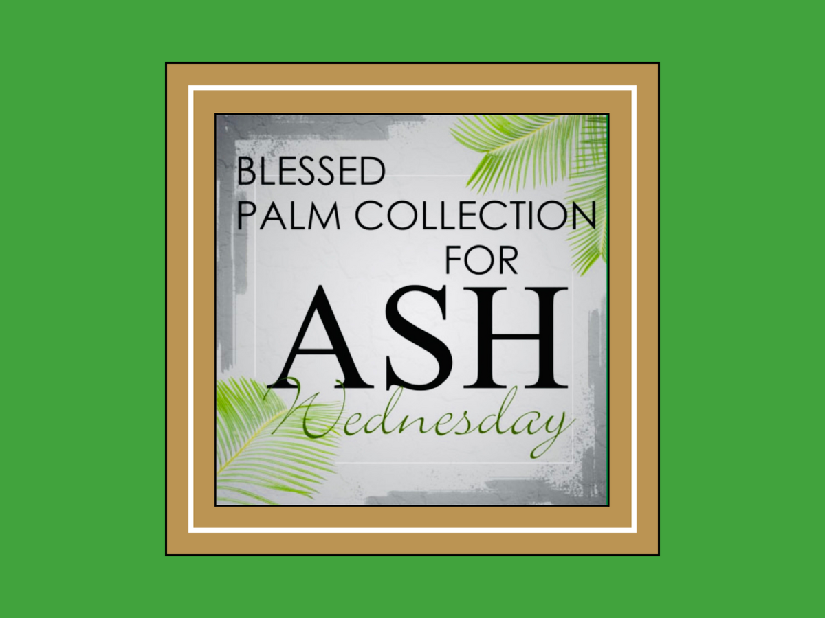 Collection of Blessed Palms 